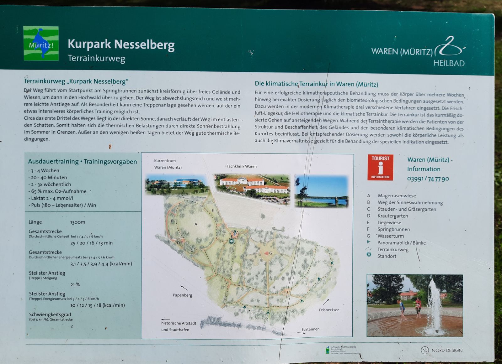 Лісотерапія як ще один різновид реабілітації