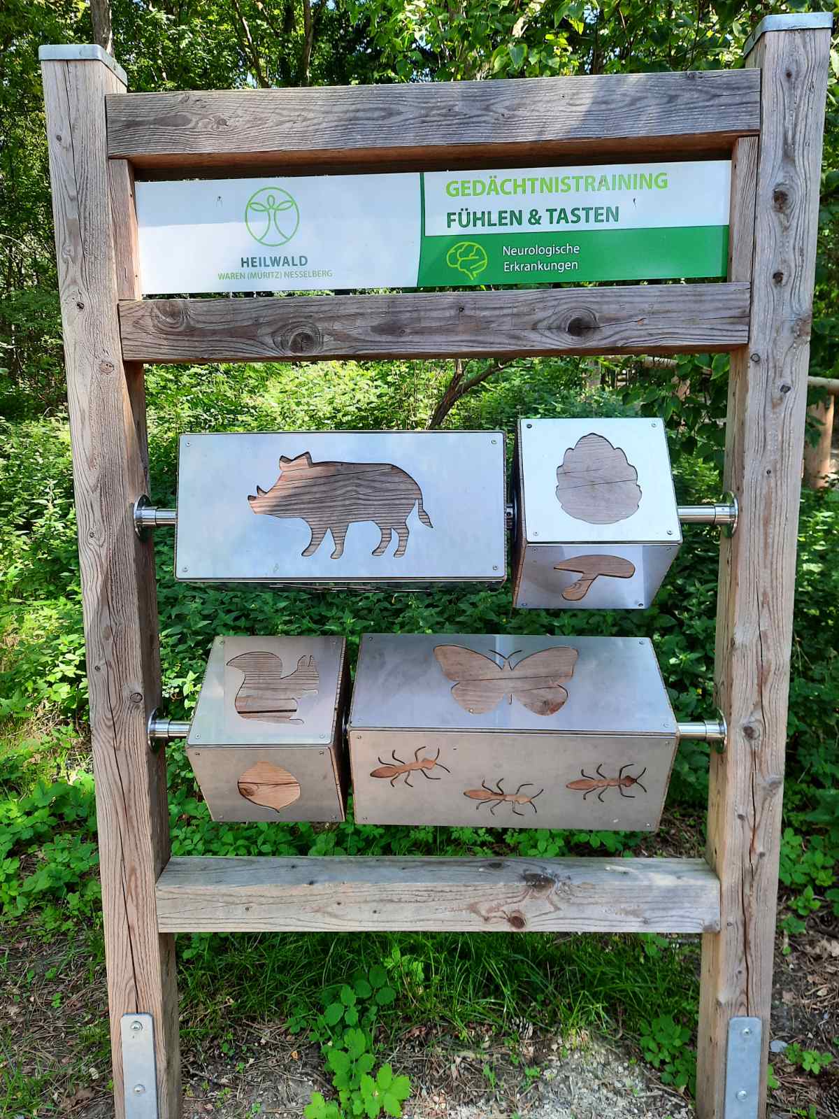 Лісотерапія як ще один різновид реабілітації