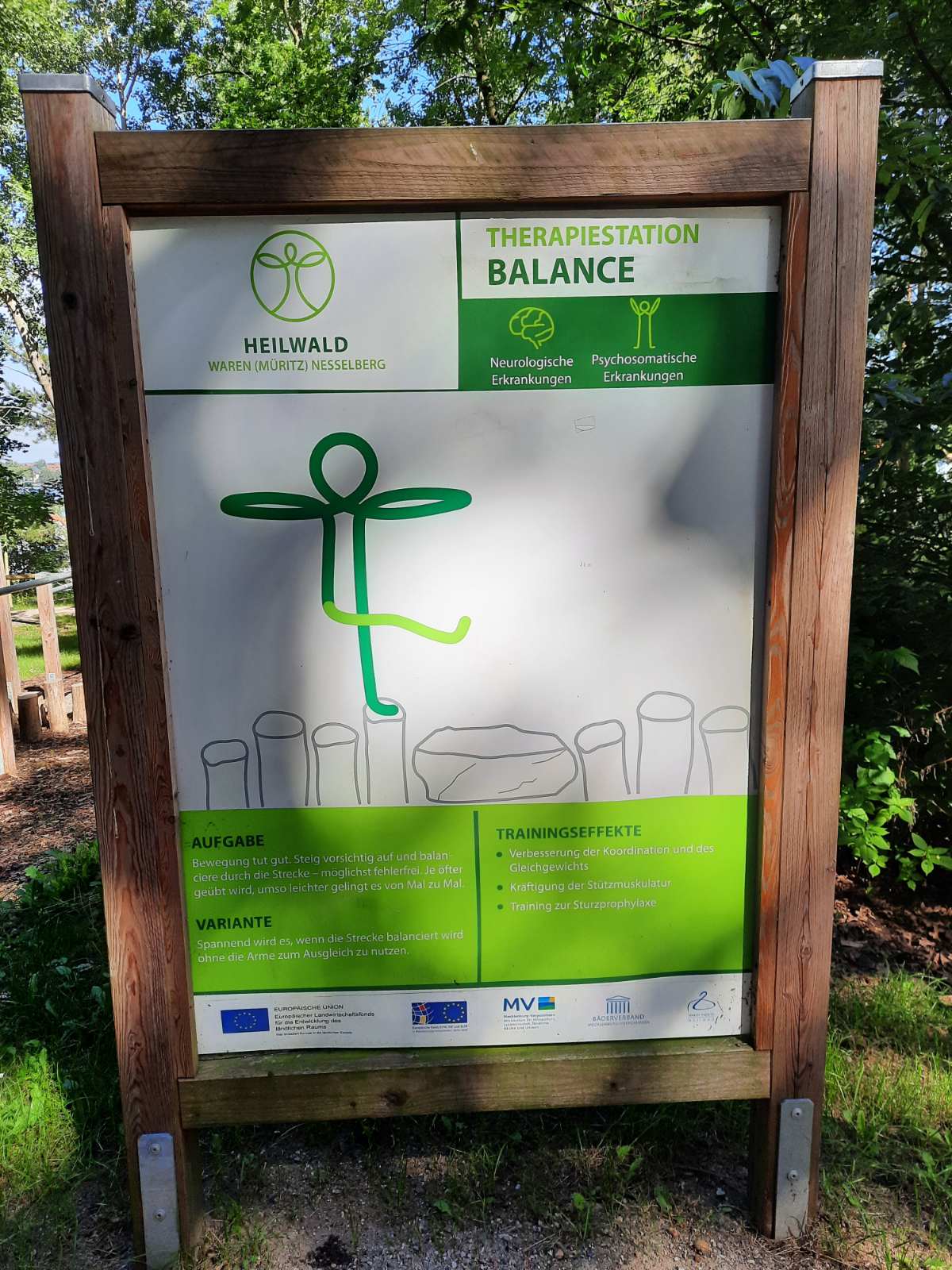 Лісотерапія як ще один різновид реабілітації