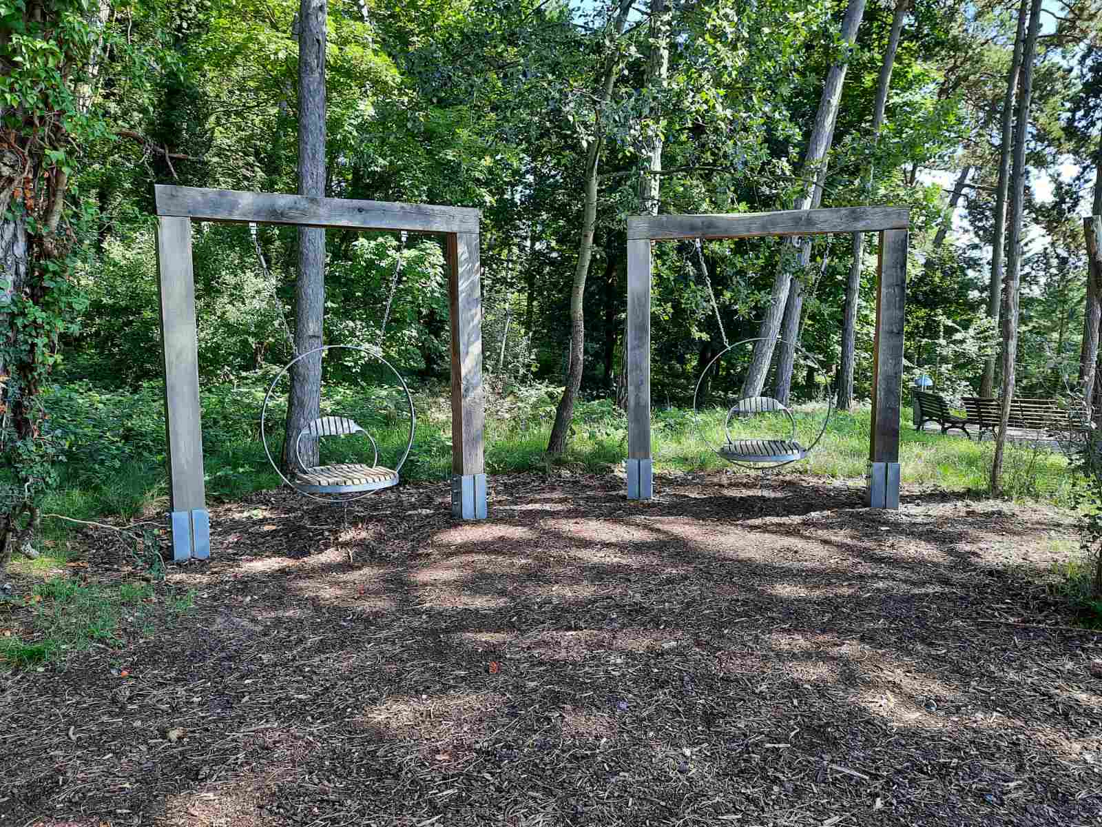 Лісотерапія як ще один різновид реабілітації