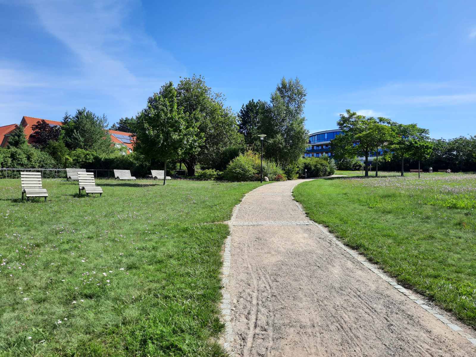 Лісотерапія як ще один різновид реабілітації