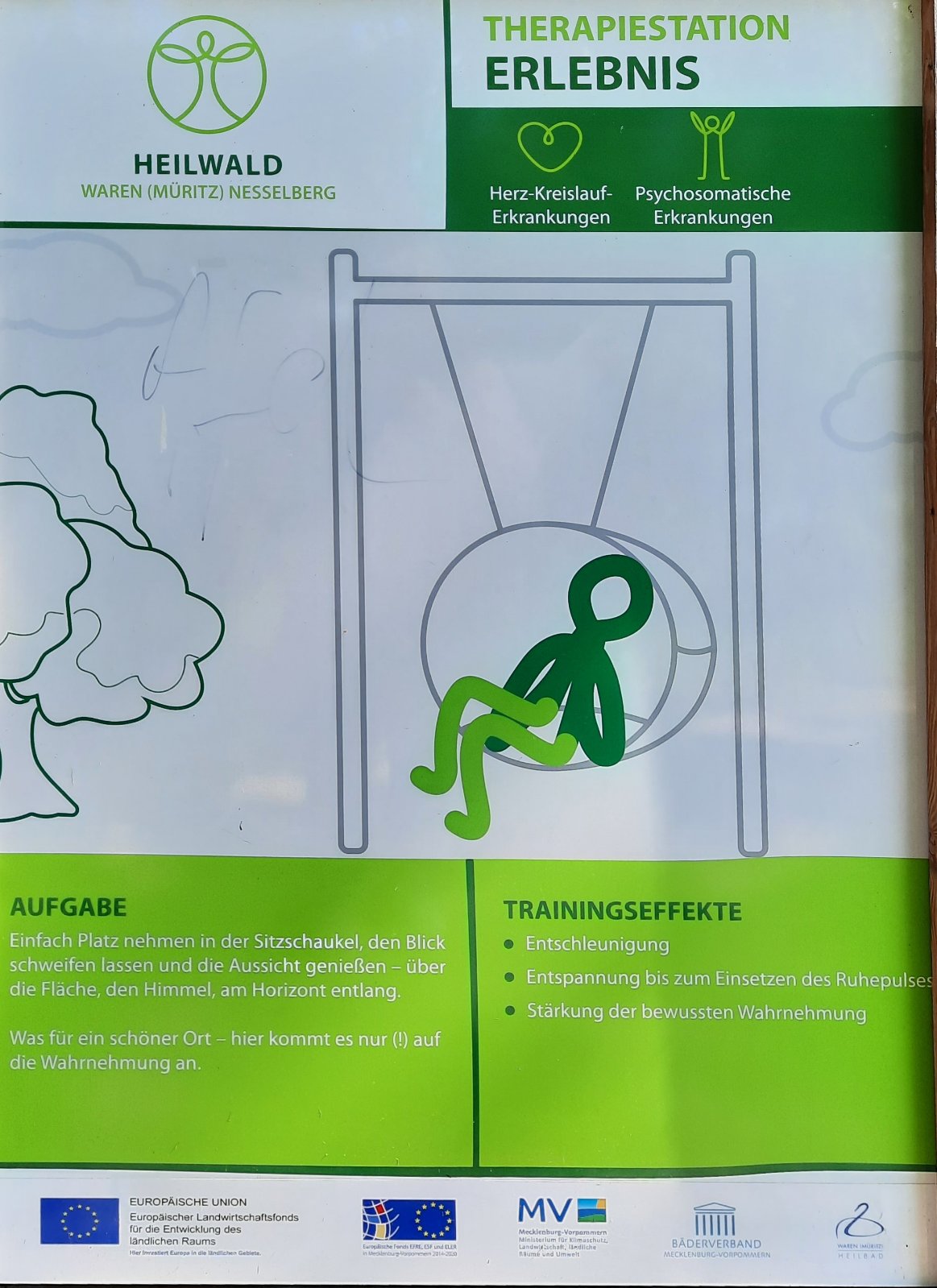 Лісотерапія як ще один різновид реабілітації