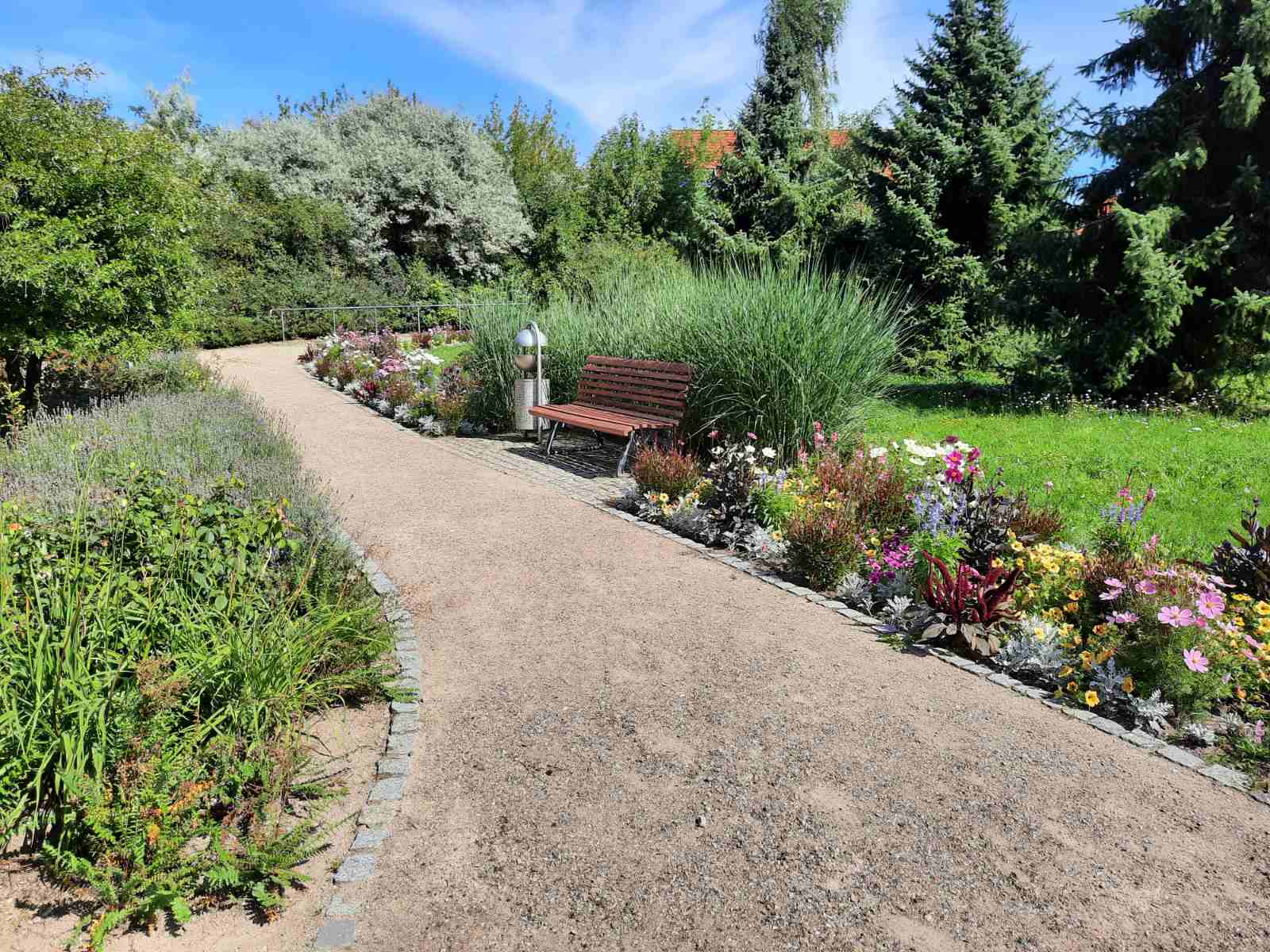 Лісотерапія як ще один різновид реабілітації