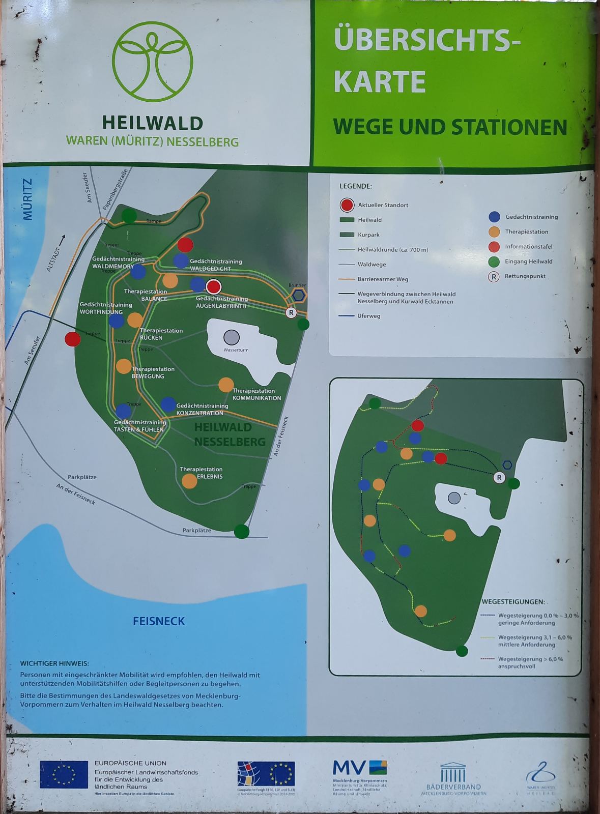 Лісотерапія як ще один різновид реабілітації