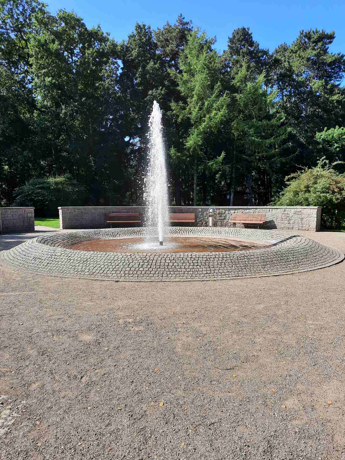 Лісотерапія як ще один спосіб реабілітації