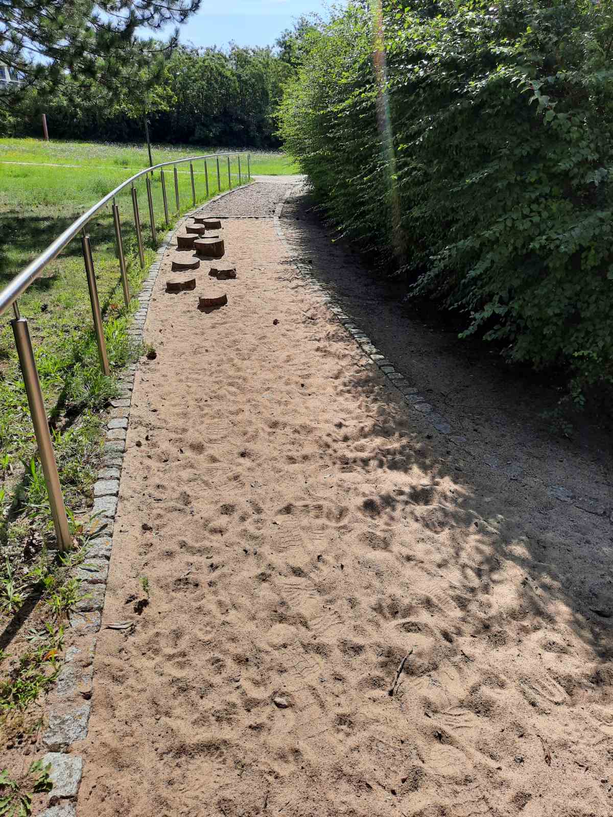 Лісотерапія як ще один різновид реабілітації