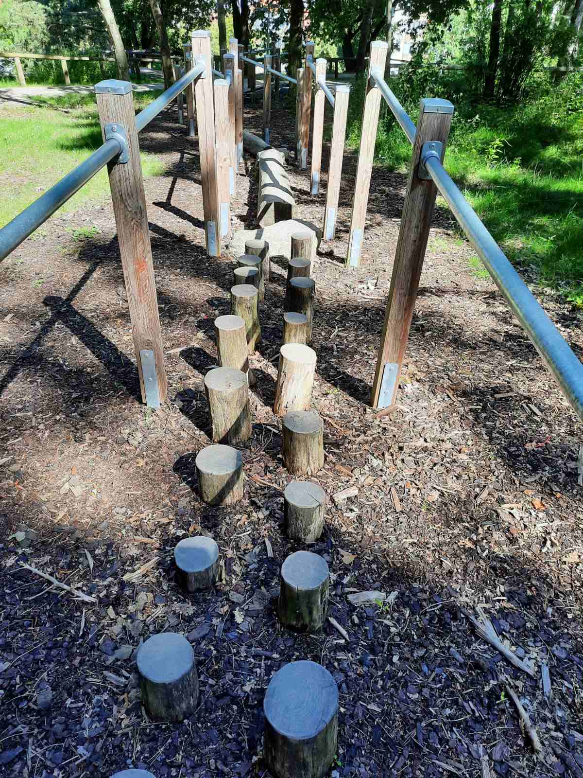 Лісотерапія як ще один спосіб реабілітації