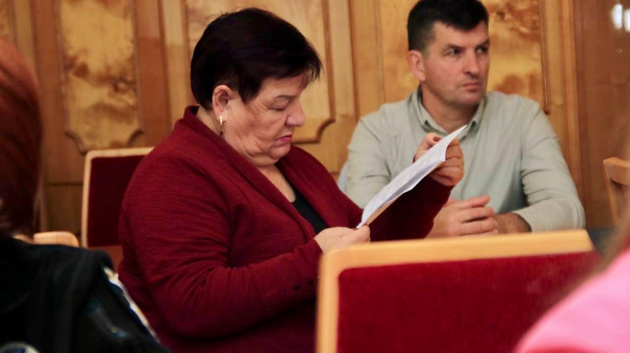 Перше засідання Ради безбарʼєрності Закарпатської області:  важливий крок до інклюзивності